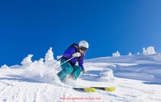 24看球直播网-法甲外援市场趋势及转会动态全方位解读