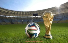 24看球直播网-上海健身器材出租市场发展趋势及租赁方案分析