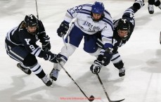 24看球直播网-击败皇家马德里的德甲球队有哪些？赛事回顾