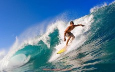 24看球直播网-法甲球员国际比赛经验统计及对国内联赛战术水平的提升